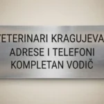 Тренутна слика: Kućni ljubimci Kragujevac
